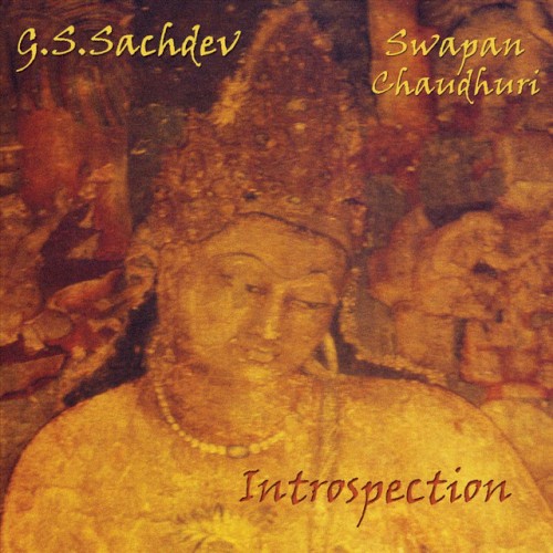 Introspection封面
