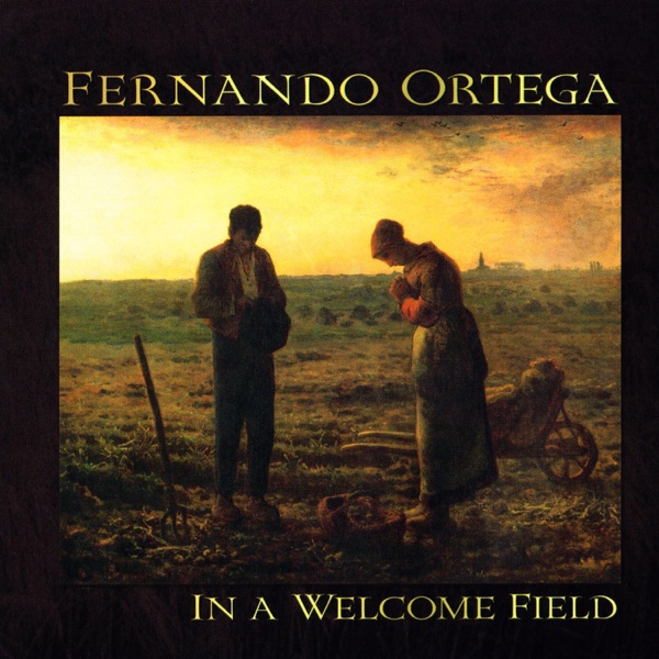 In a Welcome Field封面