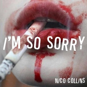 I’m So Sorry封面