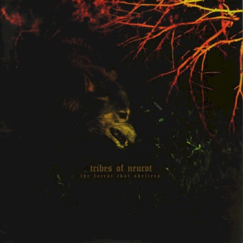 The Forest That Shelters / Filament封面