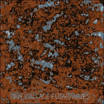 Flight / Waves封面