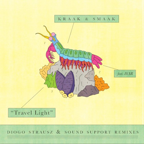 Travel Light (Diogo Strausz & Sound Support Remixes)封面