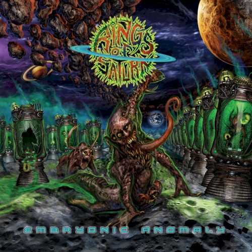Embryonic Anomaly封面