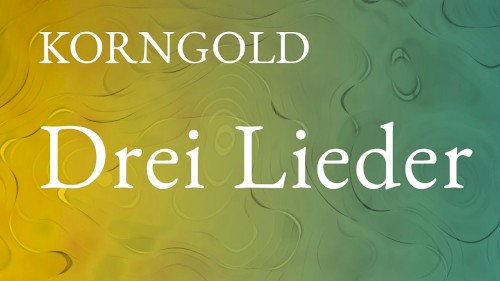 Drei Lieder op. 22封面