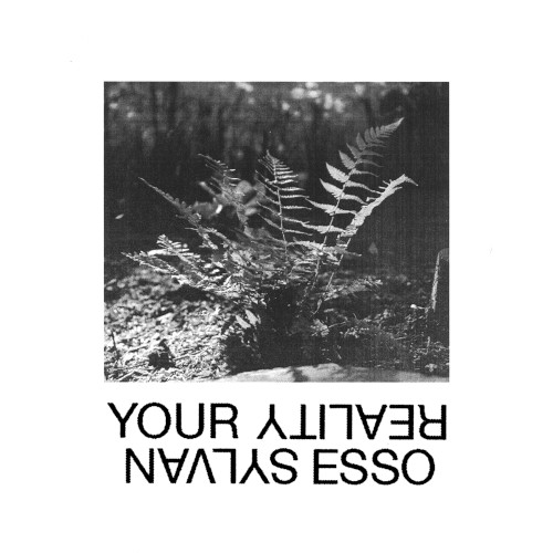 Your Reality封面