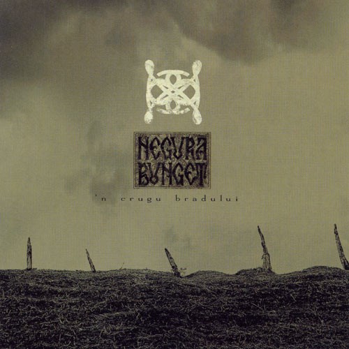 ’n crugu bradului封面