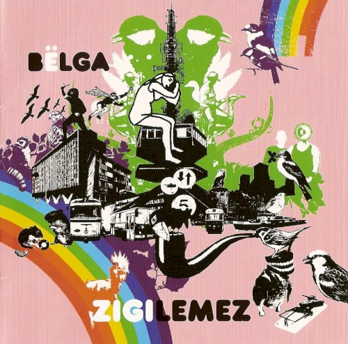 Zigilemez封面