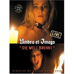 Die Welt brennt封面