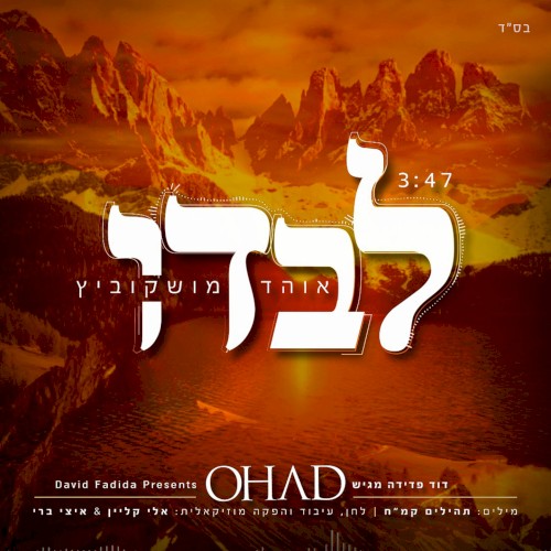 לבדו封面