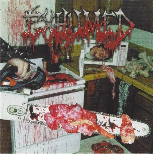 Gore Metal封面