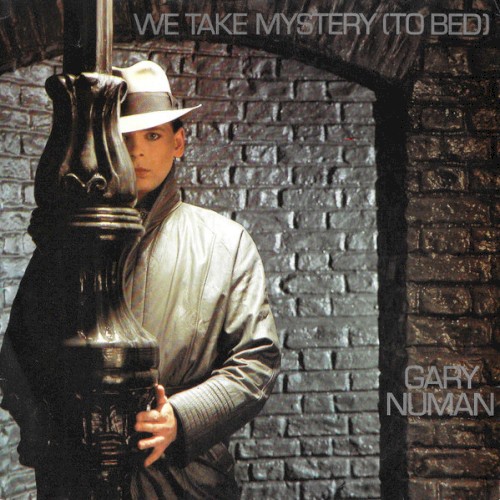 We Take Mystery (to Bed)封面