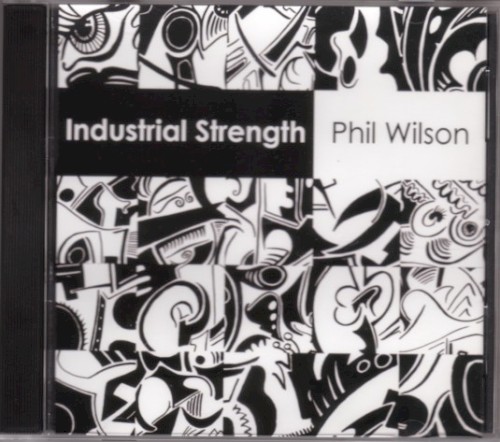 Industrial Strength封面