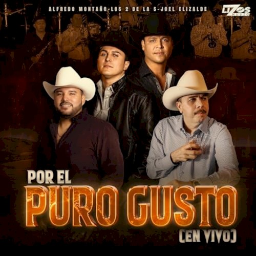 Por El Puro Gusto (En Vivo)封面