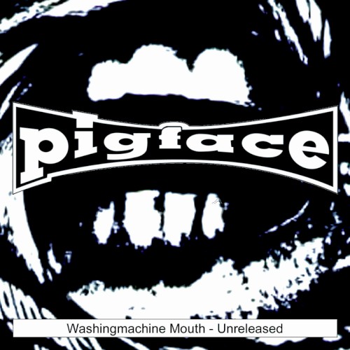 Washingmachine Mouth - Unreleased封面