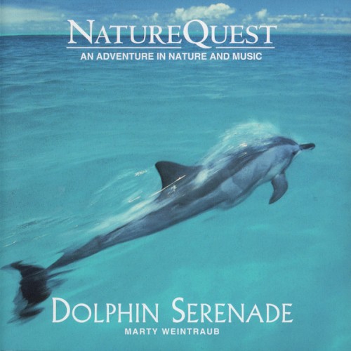 Dolphin Serenade封面