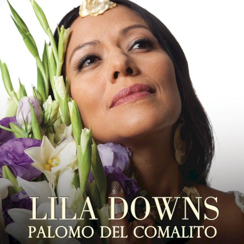 Palomo del comalito封面
