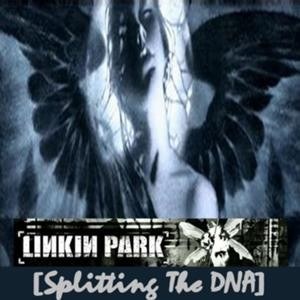 Splitting the DNA封面