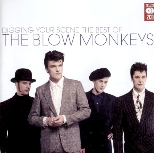 Digging Your Scene: The Best of The Blow Monkeys封面