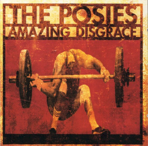 Amazing Disgrace封面