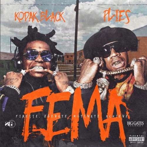 F.E.M.A.封面