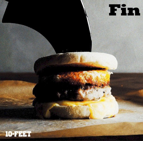 Fin封面