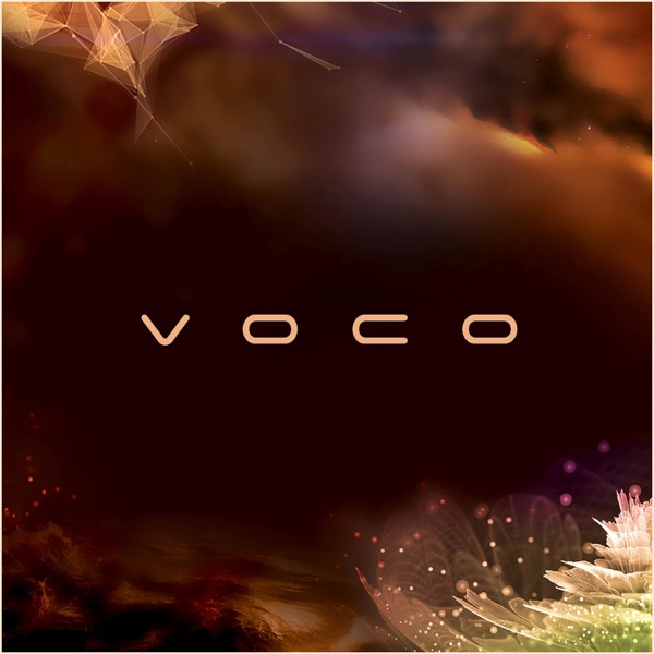 Voco封面