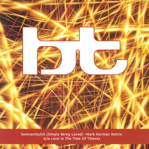 Somnambulist / Love In The Time Of Thieves封面