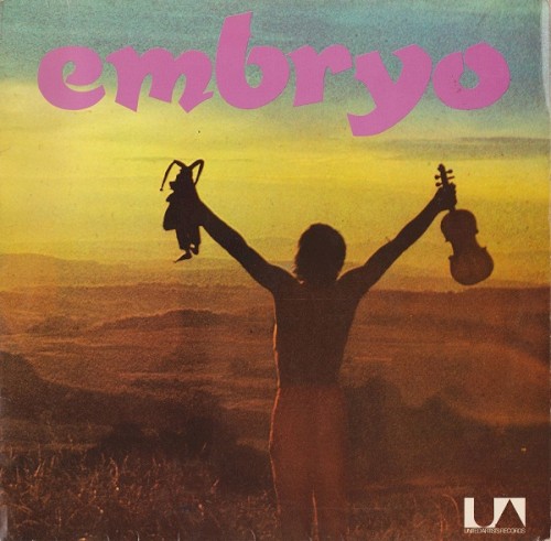 Embryo’s Rache封面
