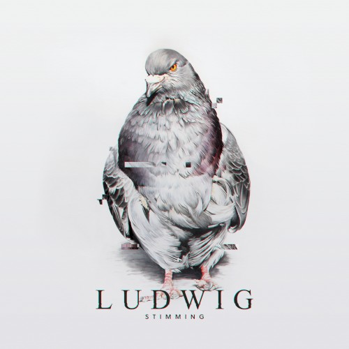 Ludwig封面
