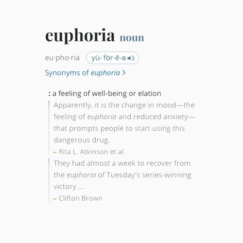 euphoria封面