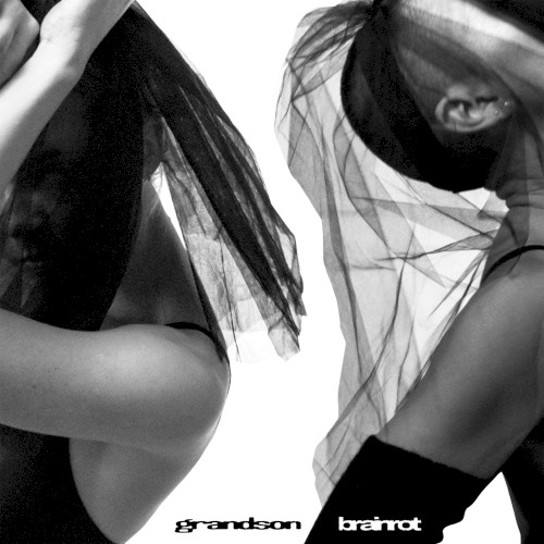 BRAINROT封面