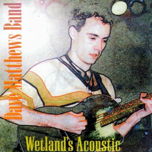 Wetlands Acoustic封面