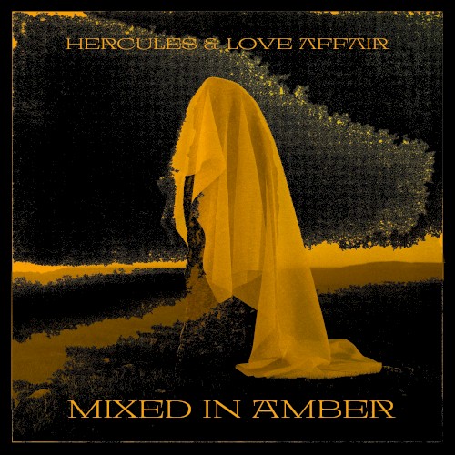 Mixed In Amber封面