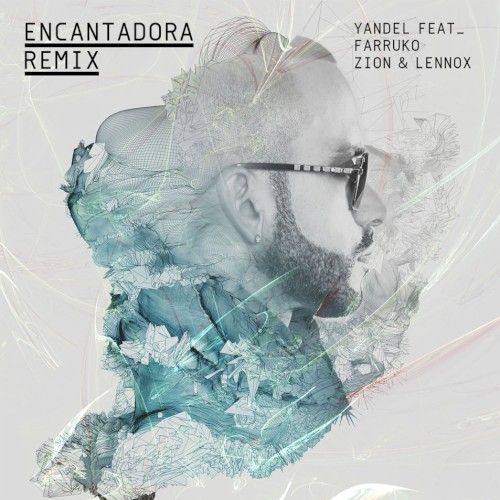Encantadora (remix)封面
