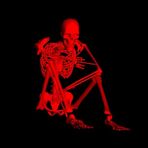 Skin & Bones封面