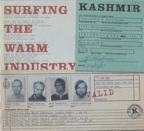 Surfing the Warm Industry封面