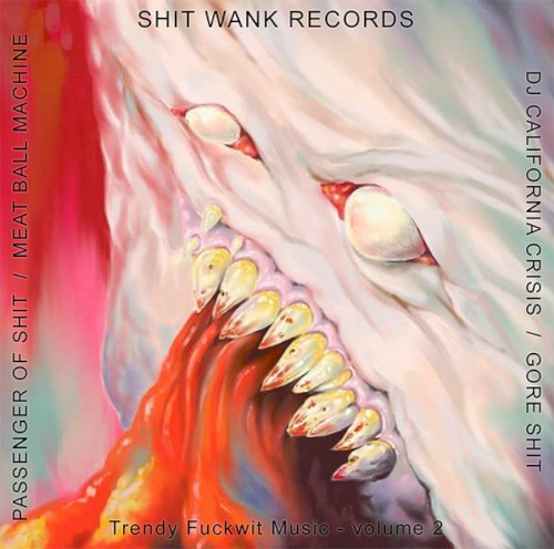 Trendy Fuckwit Music Volume 2封面