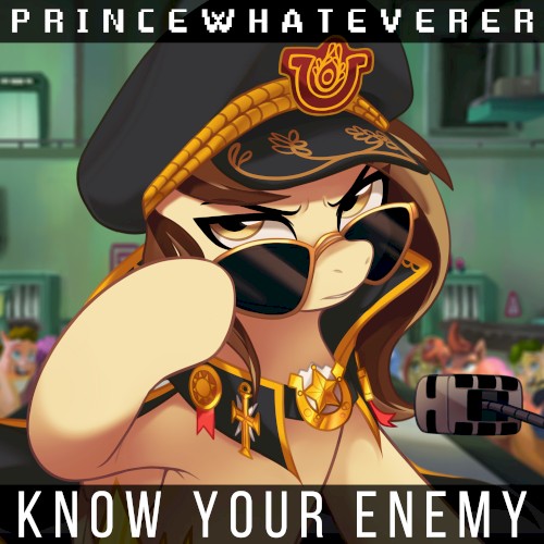 Know Your Enemy封面