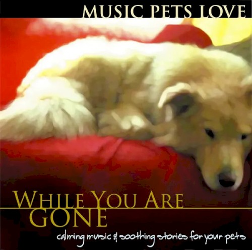 While You Are Gone封面