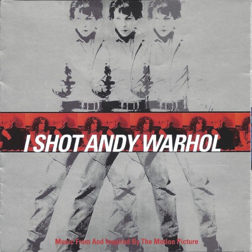 I Shot Andy Warhol封面