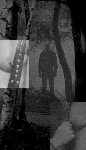 Psycho-Sexual Mating封面