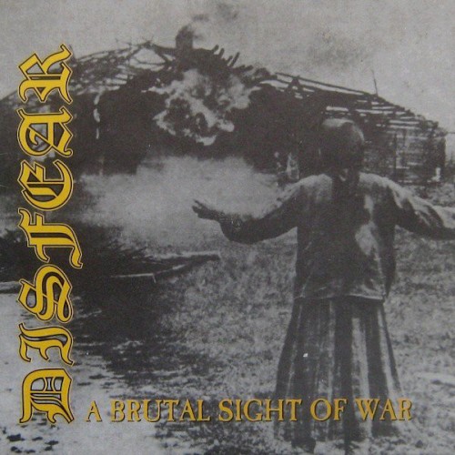 A Brutal Sight of War封面