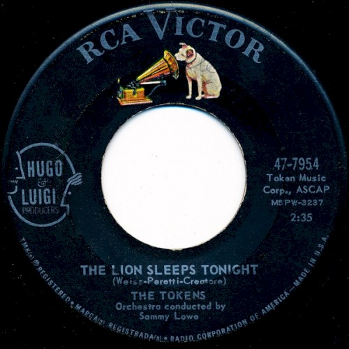The Lion Sleeps Tonight / Tina封面