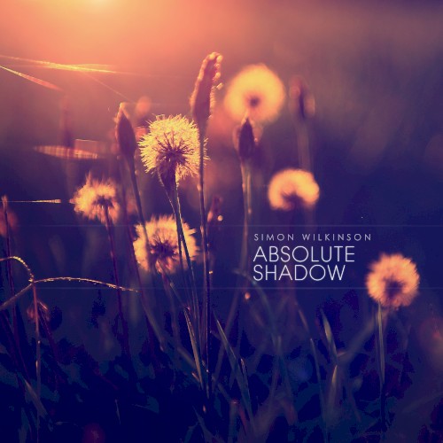 Absolute Shadow封面