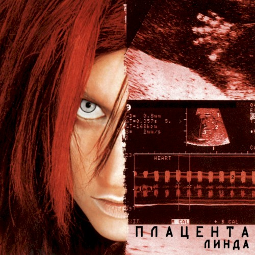 Плацента封面