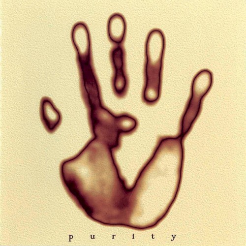 Purity封面