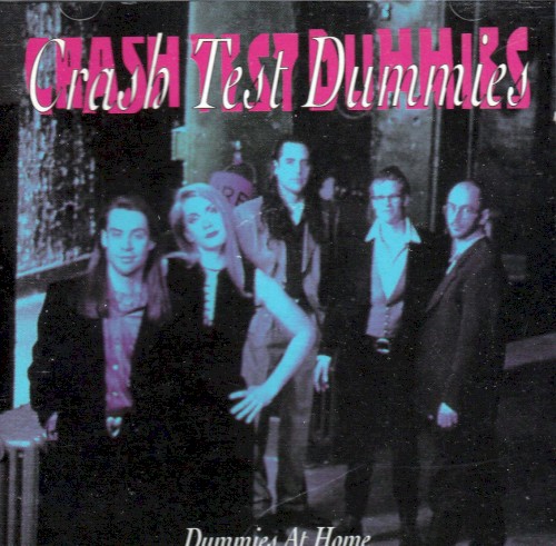 Dummies at Home封面