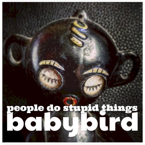 People Do Stupid Things封面