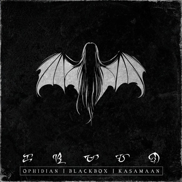 Blackbox: Kasamaan封面