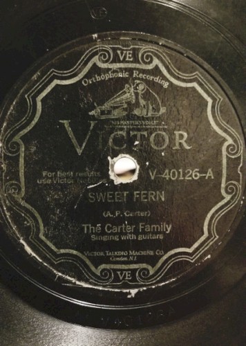 Sweet Fern / Lulu Wall封面